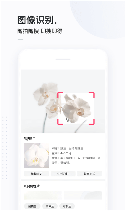简单搜索最新版截图2