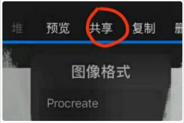 Procreate中文版