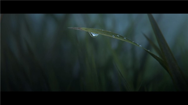魔兽争霸3重制版