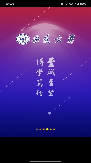 智慧安大