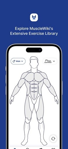 Musclewiki安卓版截图1