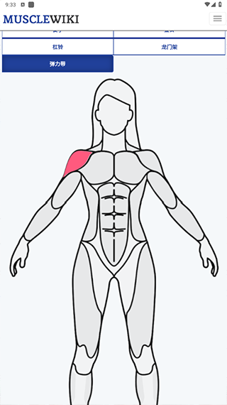 Musclewiki安卓版
