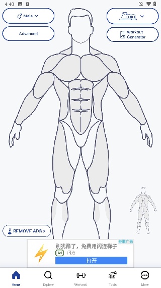 Musclewiki安卓版