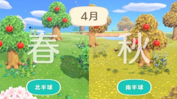 动物森友会手机版截图3