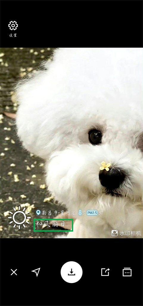 水印相机