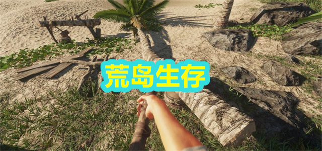 荒岛生存