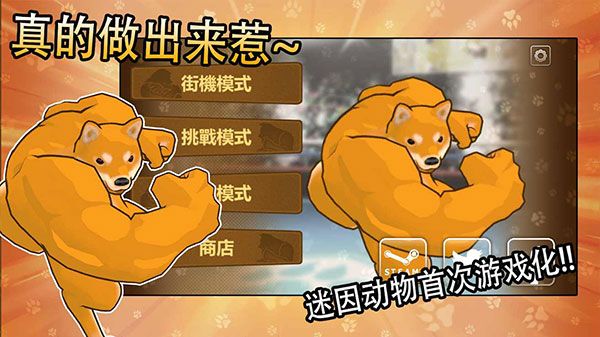 动物之斗竞技场截图4