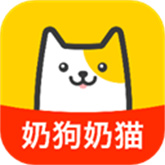 买只宠物