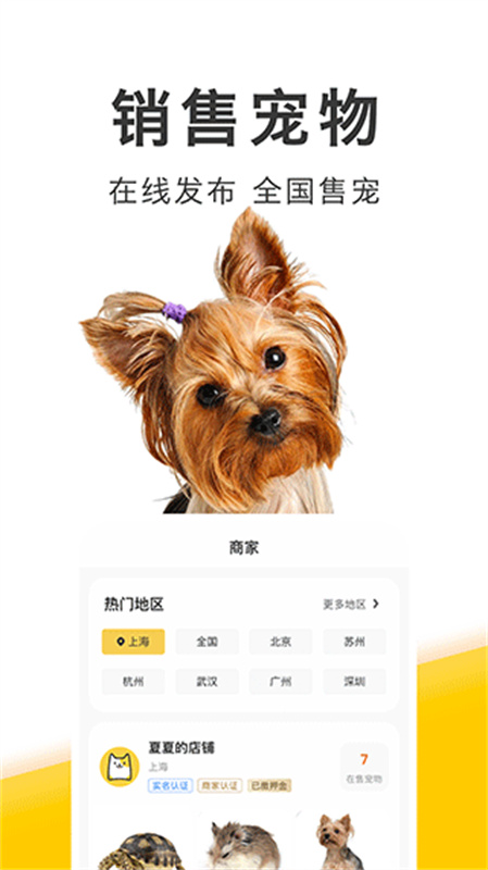 买只宠物