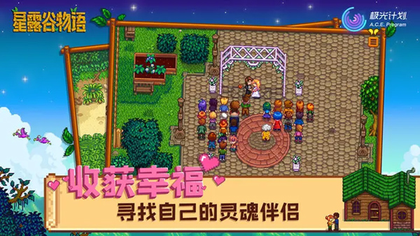 星露谷物语美化版截图1