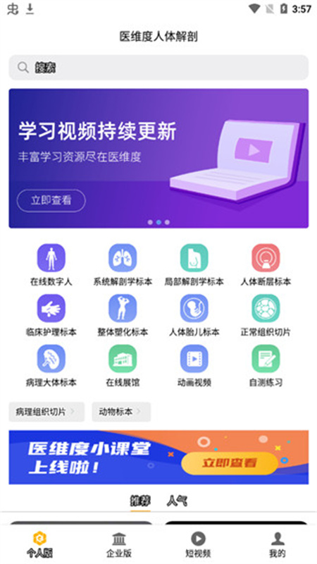 医维度解剖