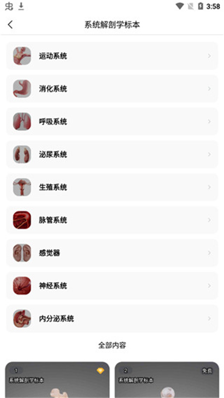 医维度解剖
