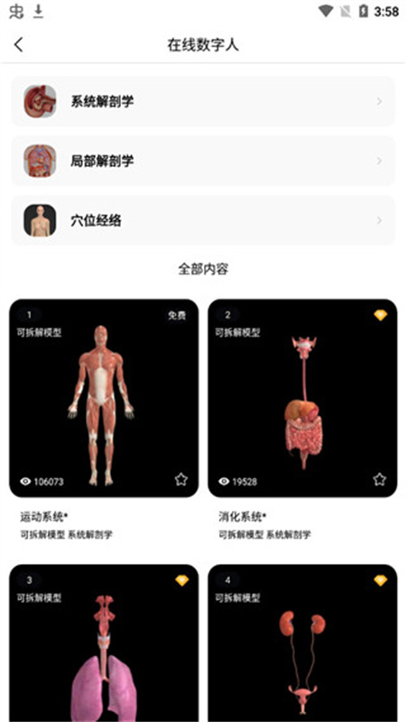 医维度解剖
