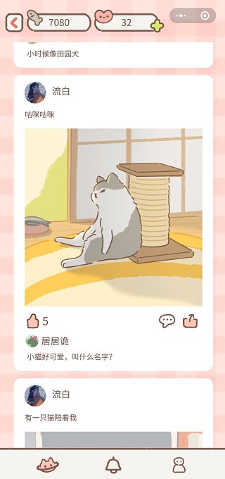遇见你的猫