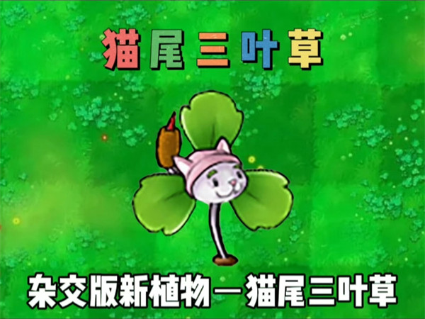 植物大战僵尸杂交版新植物猫尾三叶草介绍一览