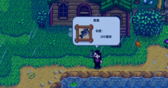 星露谷物语多人联机版