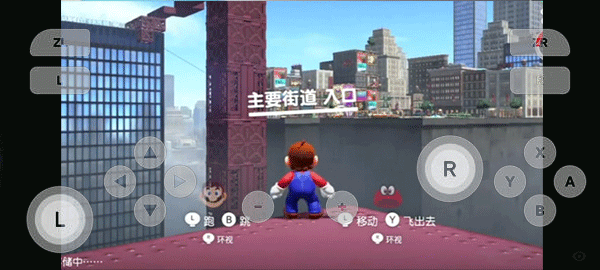 switch模拟器截图2