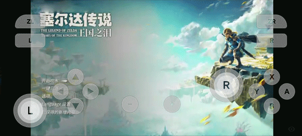 switch模拟器截图1
