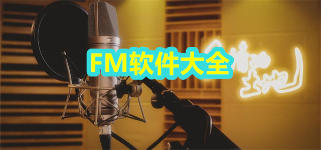 FM软件