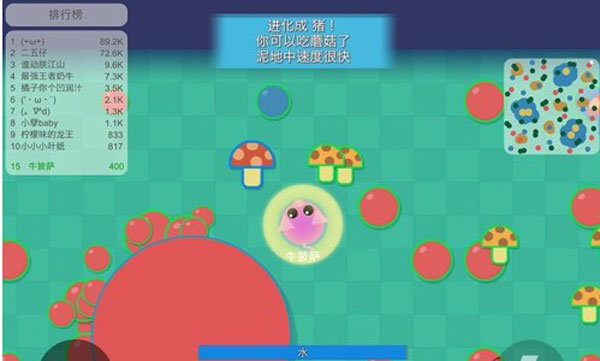 丛林大作战官方正式版