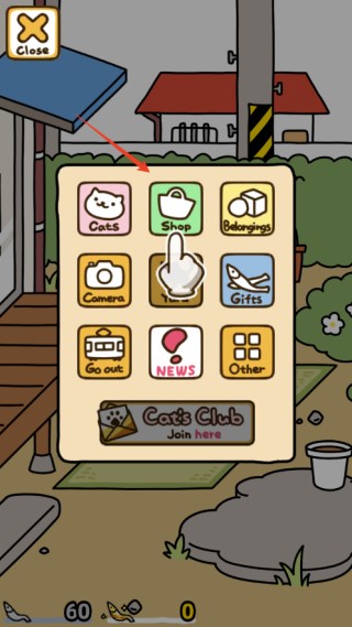 猫咪后院2国际服