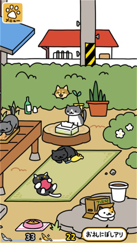 猫咪后院2国际服