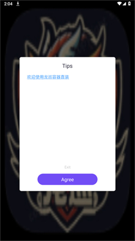 龙巡容器直装版