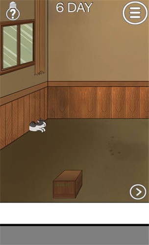 我的猫咪找不到了手游截图2