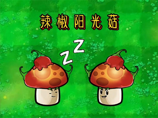 植物大战僵尸杂交版辣椒阳光菇二合一介绍一览