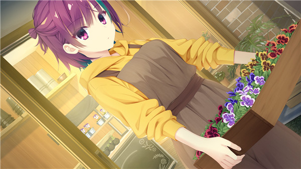 PARQUET汉化版