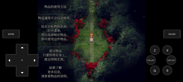 魔女之家汉化版截图2