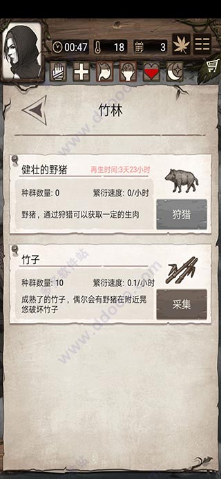 荒岛求生完整版
