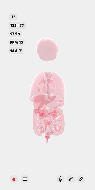 life生命模拟器