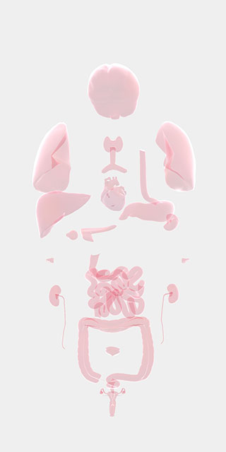life生命模拟器