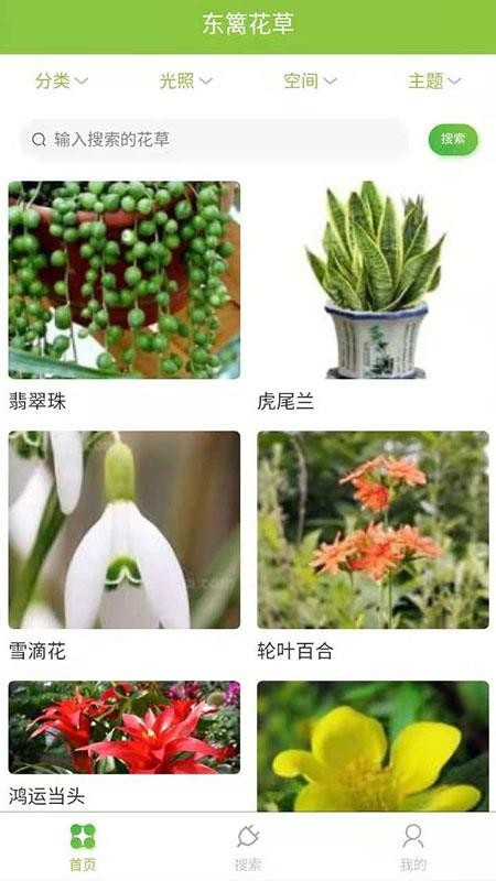 东篱花草手机版截图2