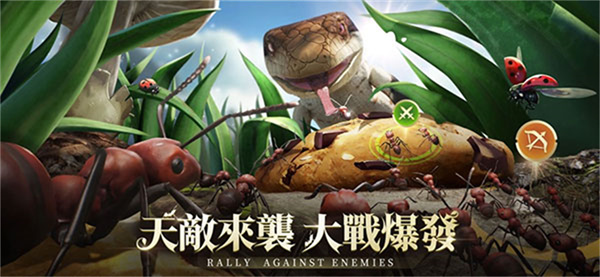 小小蚁国