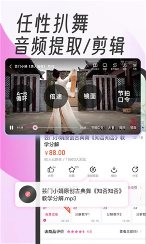 中舞网
