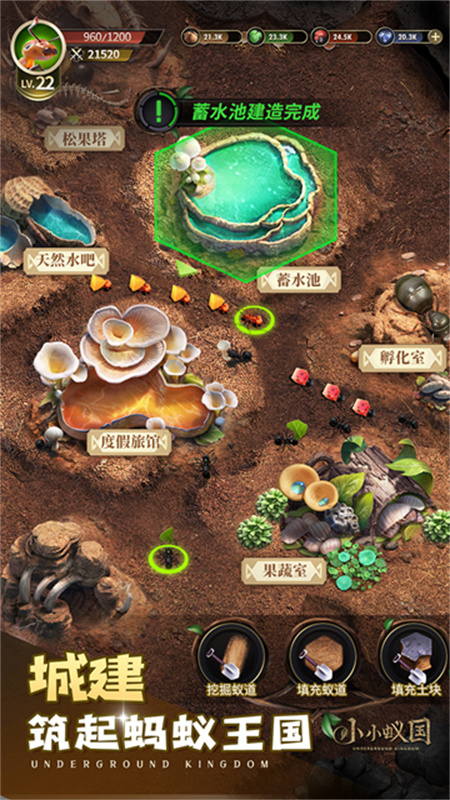 小小蚁国国际服(The Ants)官方版v3.61.0截图3