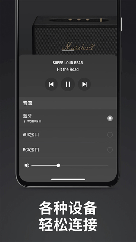 Marshall Bluetooth