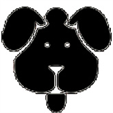 磁力狗(搜索引擎)免费版安装v1.8