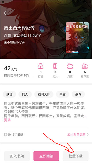 次元姬