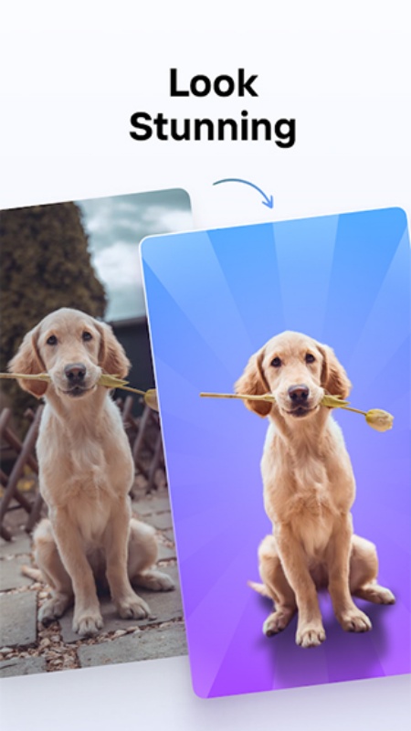 photoroom(PS修图)免费版安装v2025.36.02截图4