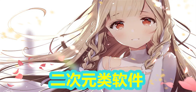二次元软件