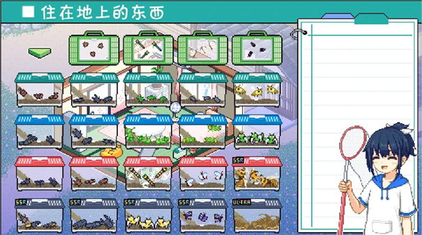 寻找夏日的宝物