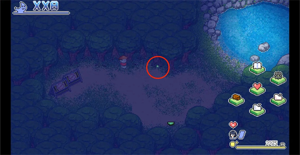 寻找夏日的宝物