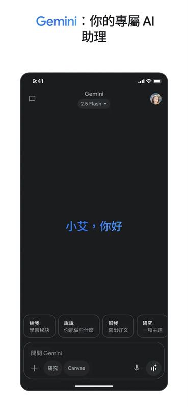 google geminiAPP最新版本v1.0.1截图3