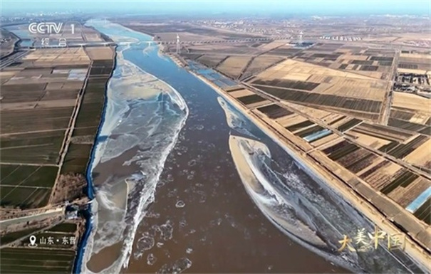 电视花园(免费版)TV版安装v1.0.0截图2