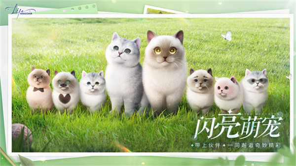 以闪亮之名新马服官方版v1.2.602截图5