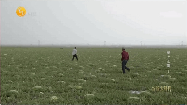 OK芸影视(电视剧播放)免费版安装v3.0.4截图3