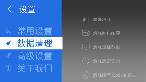 飞视浏览器TV版